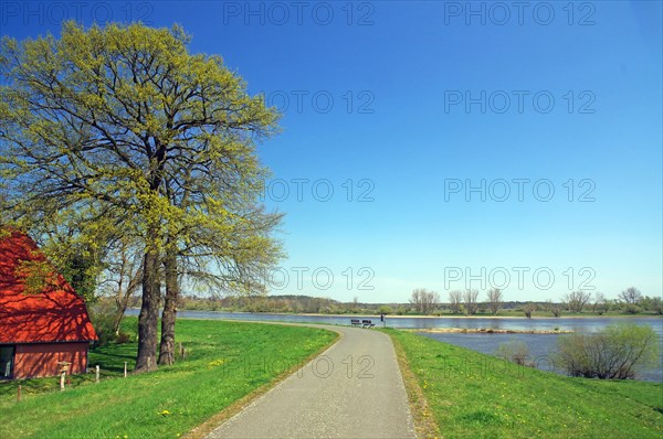 Deserted cycle path on the dyke