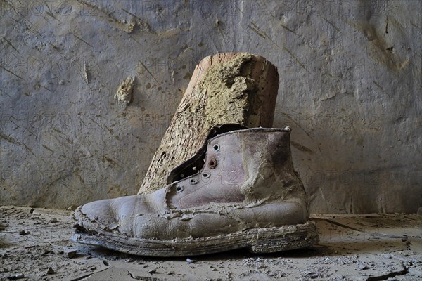 Work shoe in front of log