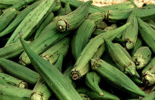 Okra