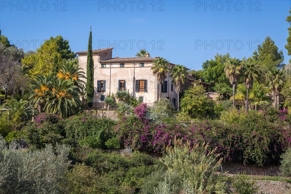 Finca near Deia