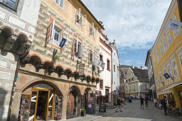 Houses in Latran Street