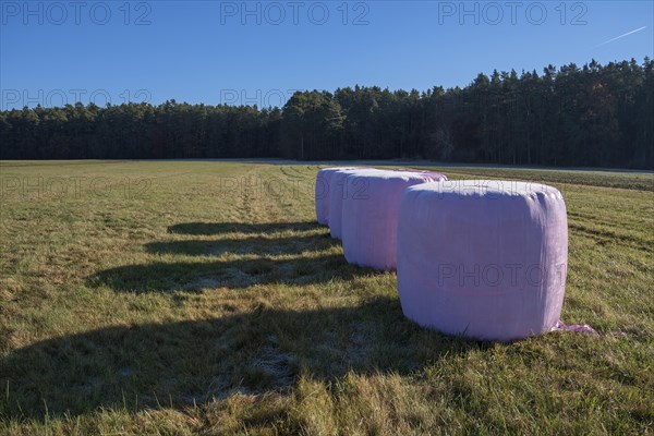 Hay bales wrapped in pink foil in the meadow