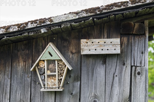 Insect hotel on a wooden wall