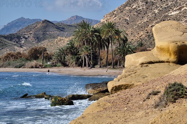 Bay with palm trees in front of Aguilas