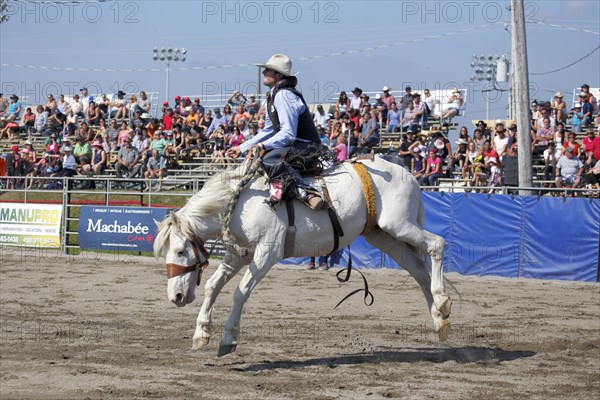 Rodeo competition