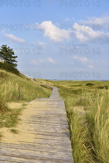 Boardwalk in the dunes near Wittduen