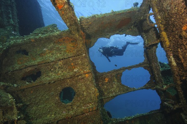 Diver looking into interior of sunken ship decaying rusting shipwreck Elviscot