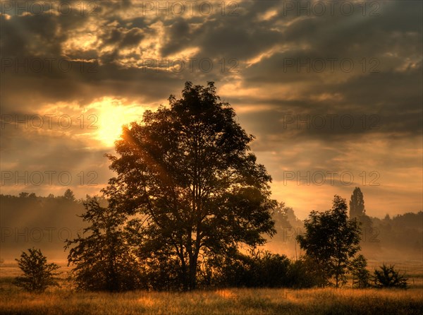 Sunrise in autumn 2007 in the nature reserve Hainberg near Fuerth in Middle Franconia in Bavaria in Germany