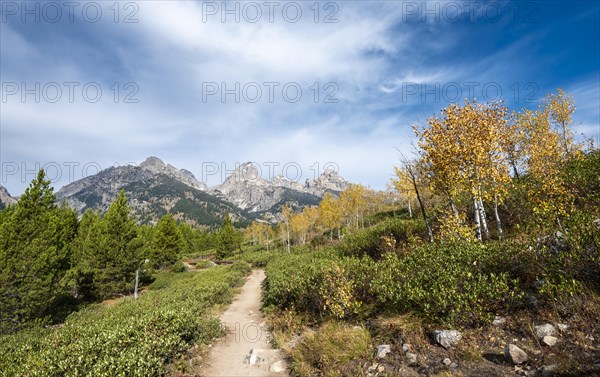 Hiking trail to Taggart Lake in autumn