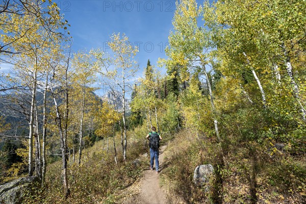 Young man on the hiking trail to Taggart Lake