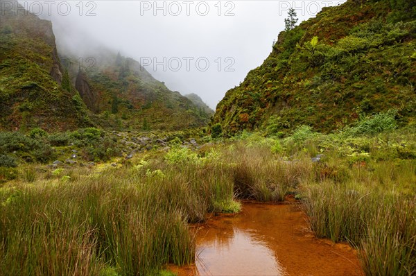 Mossy landscape with orange ferruginous water