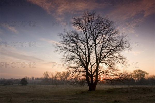 Sunrise in Fuerth County in Middle Franconia in Bavaria in Germany