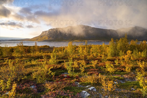 Autumn fell landscape