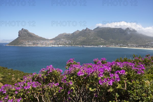 Coast and Atlantic Ocean