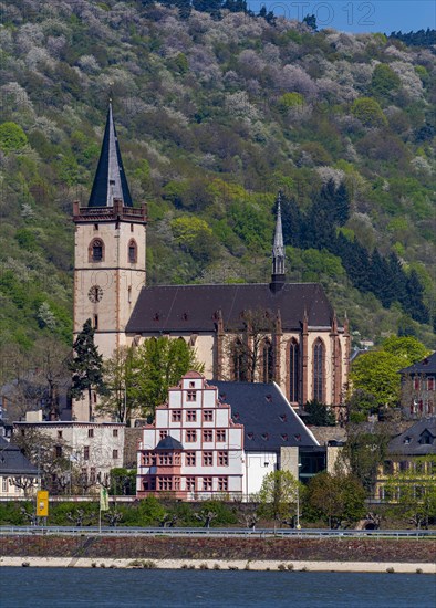 Houses and churches on the Rhine in Assmannshausen