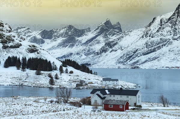 Evening glow in wintry Scandinavian landscape