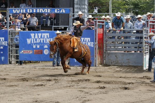 Rodeo competition