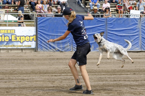 Flying dogs