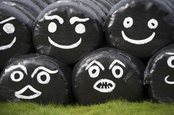 Round bales of silage wrapped in plastic film