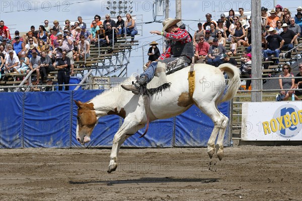 Rodeo competition