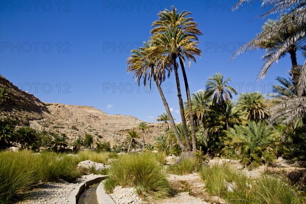 Irrigation Canal