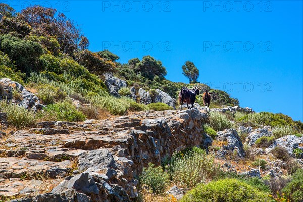 Hike to the Bear Cave overlooking the Mediterranean Sea