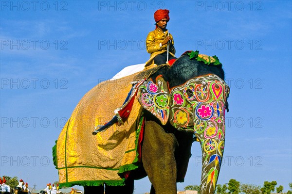 Festive parades with camels and elephants