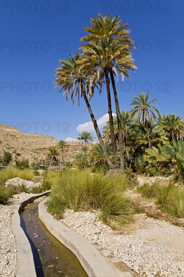 Irrigation Canal