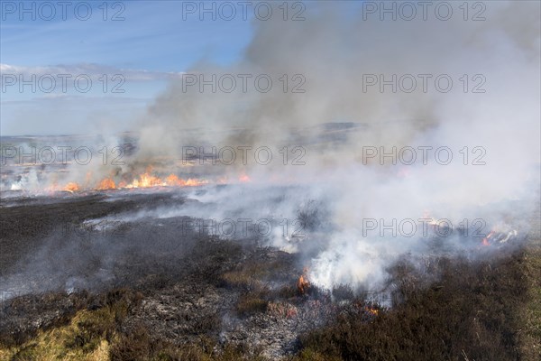 Heather burning on a Grouse Moor in the Yorkshire Dales