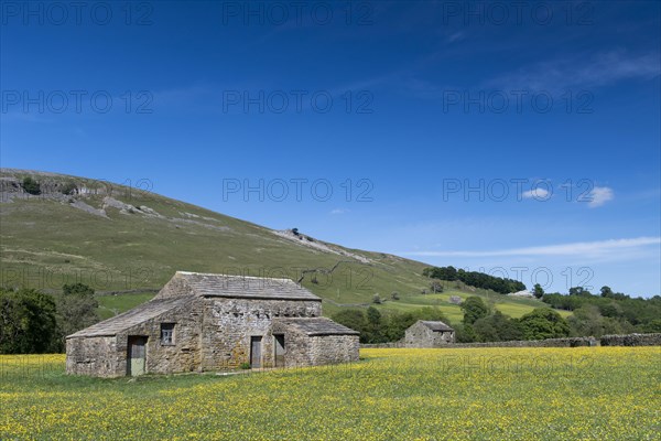 Wildflower meadows in bloom