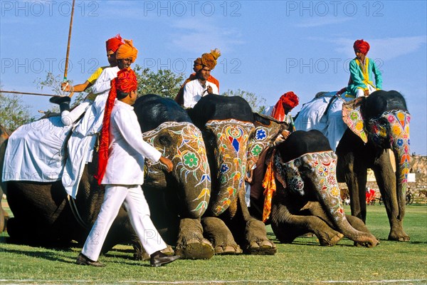 Elephant polo at Holi festival