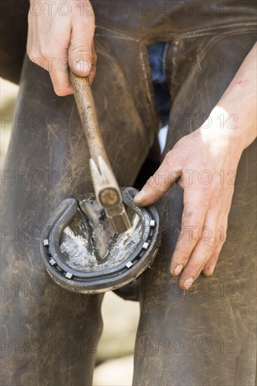 Farrier cold shoeing a horse. North Yorkshire