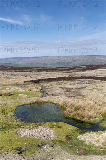 Uplands habitat on Grinton Moor in the Yorkshire Dales National Park