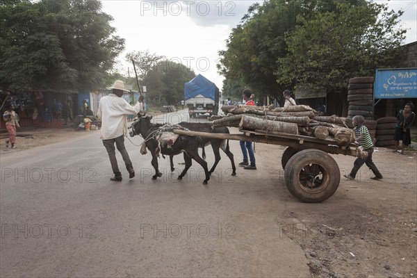 Donkey cart