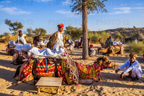 Horseback riding on dromedaries