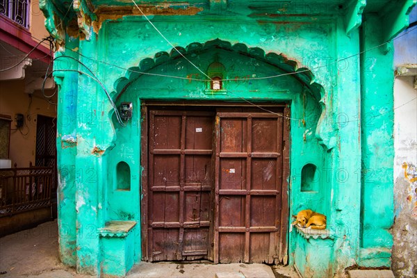 Dilapidated gate with dog in the old town of Bundi