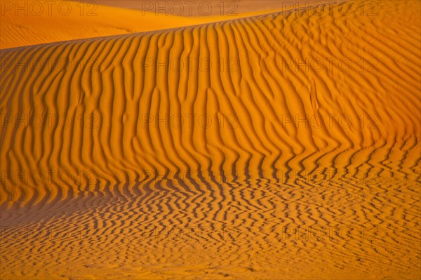 Sand Dunes