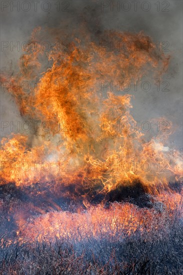 Heather burning on a Grouse Moor in the Yorkshire Dales