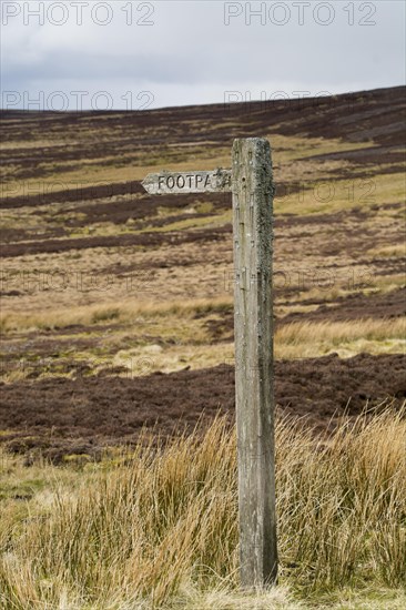 Lichen covered footpath sign on heather moorland