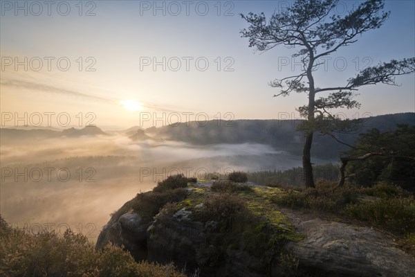 View from Kleiner Winterberg at sunrise