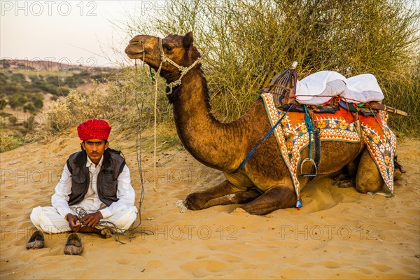 Horseback riding on dromedaries