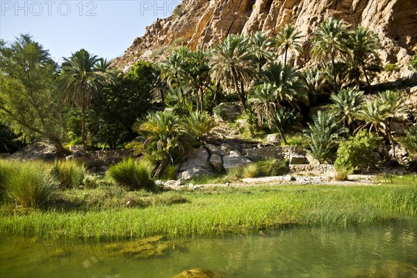 Paradise Wadi Bani Khalid