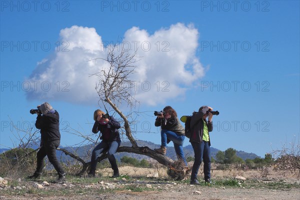 Women photographers with cameras on tree stump