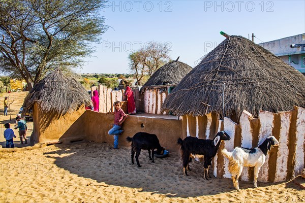 Mud hut settlement in the Thar Desert