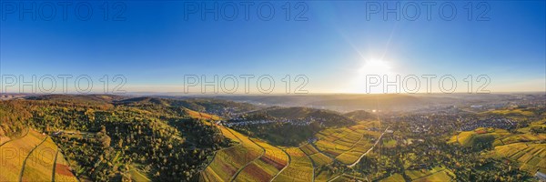 Panoramic view of vineyards near Stuttgart-Rotenberg