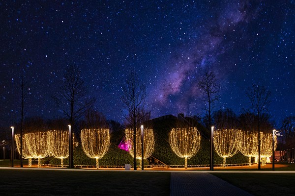 Night illumination in autumn Park