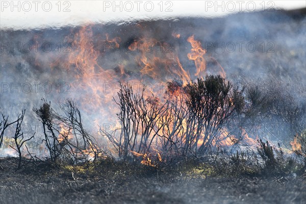 Heather burning on a Grouse Moor in the Yorkshire Dales