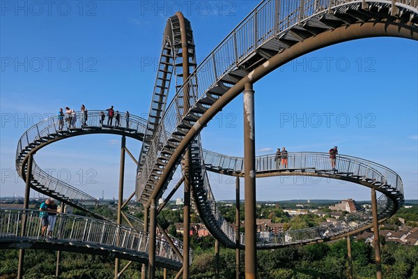 Large sculpture Tiger and Turtle - Magic Mountain