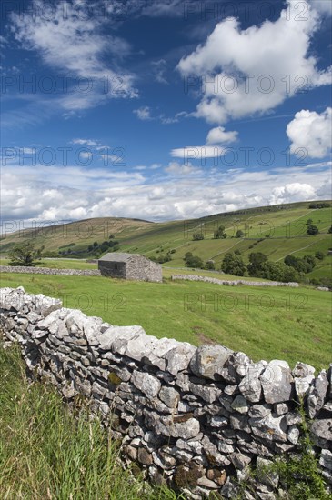 Looking down Walden in the summer