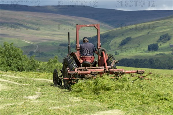 Farmer in Wensleydale turning grass to make hay with a vintage Massey Ferguson tractor. Hawes